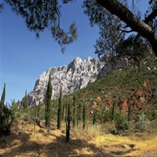 3 Km : La montagne Sainte Victoire